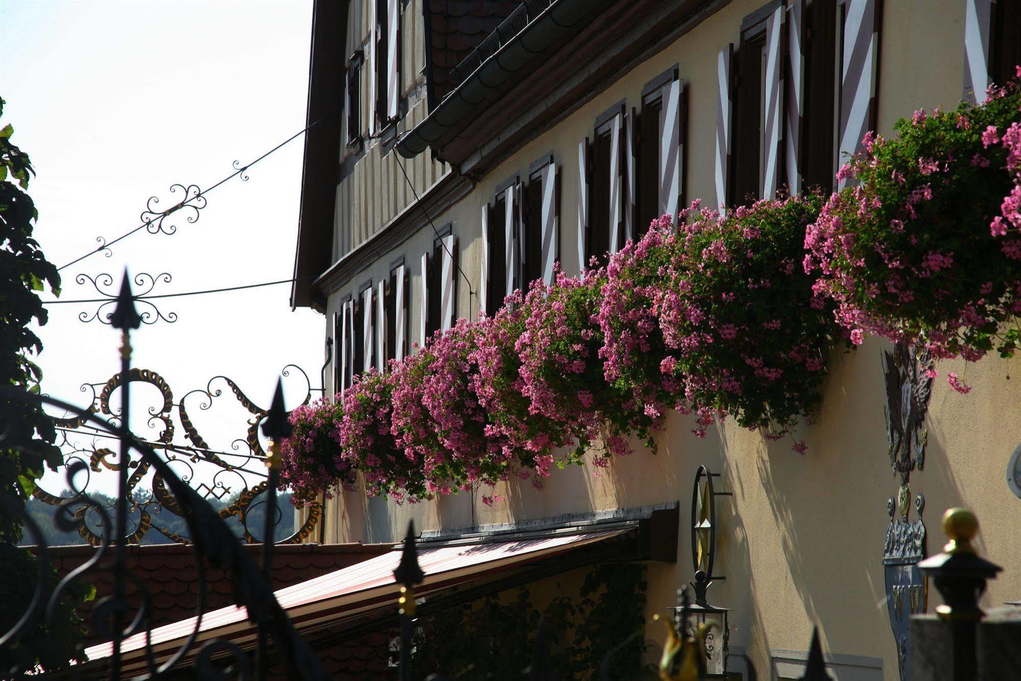 Hotel Brauereigasthof Landwehr-Braeu Reichelshofen Buitenkant foto